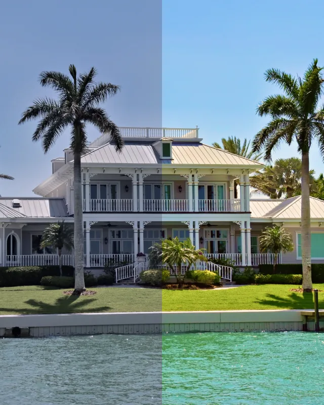 AI photo tools